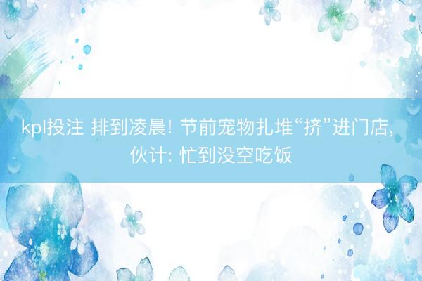 kpl投注 排到凌晨! 节前宠物扎堆“挤”进门店, 伙计: 忙到没空吃饭