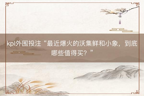 kpl外围投注 “最近爆火的沃集鲜和小象，到底哪些值得买？”