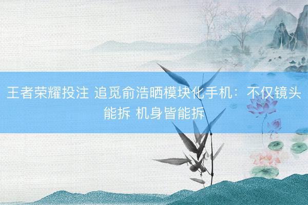 王者荣耀投注 追觅俞浩晒模块化手机：不仅镜头能拆 机身皆能拆